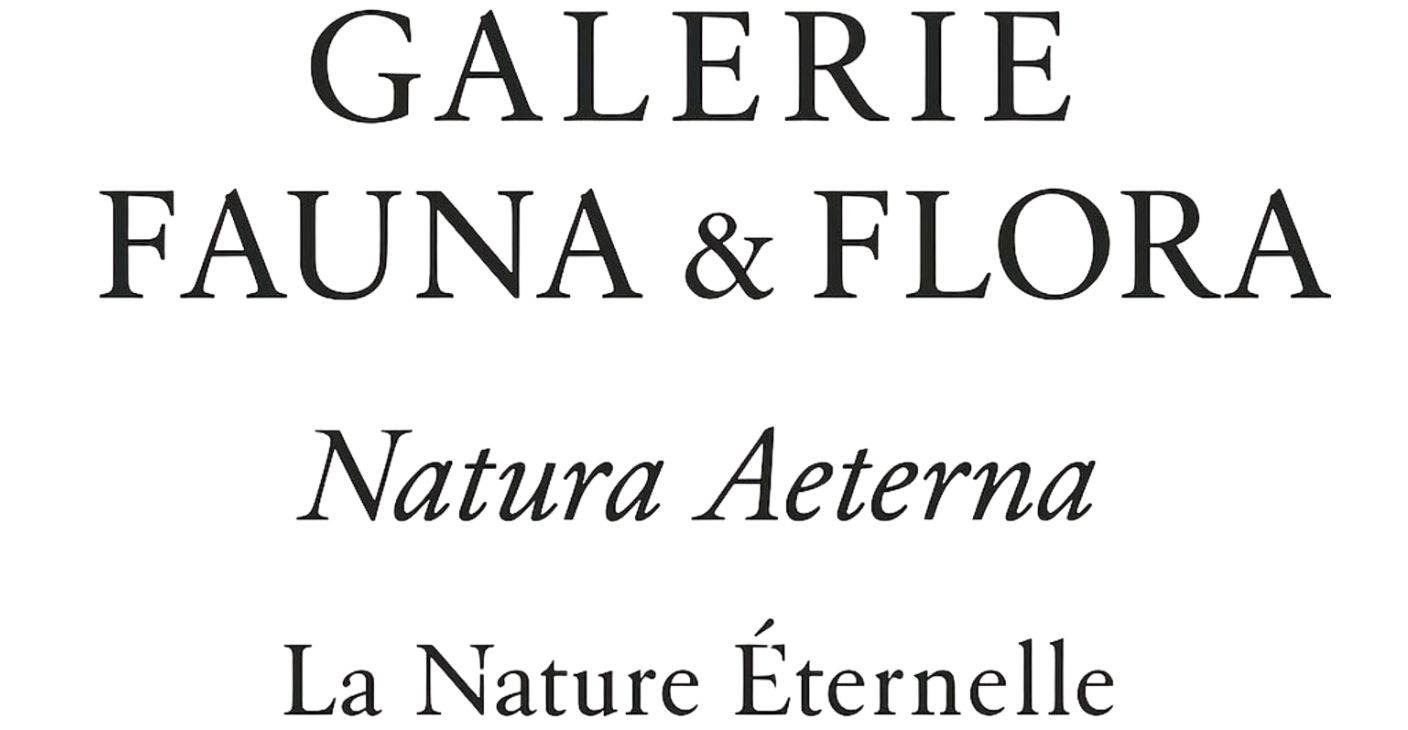 Galerie Fauna & Flora 